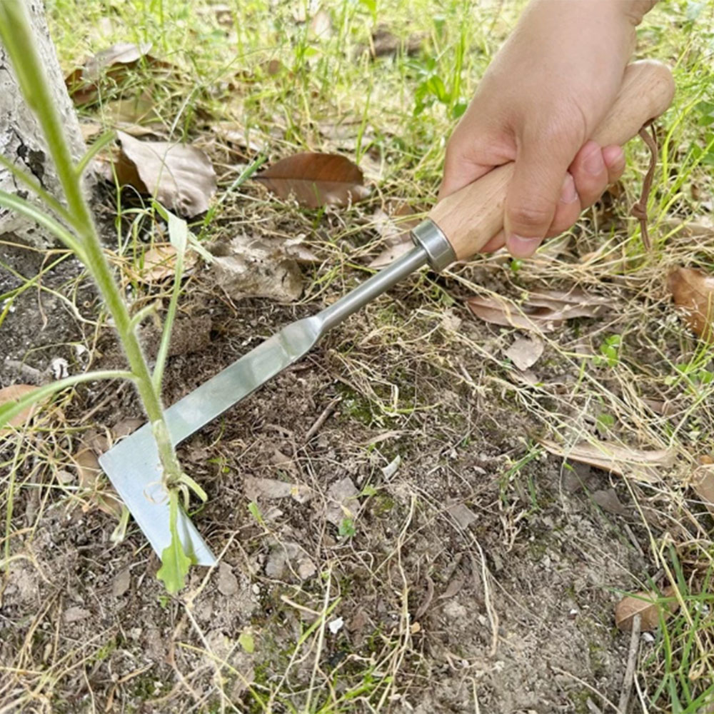 Stainless Steel Gap Weeding To – обзор и цена Gardening Tools Used For Weeding