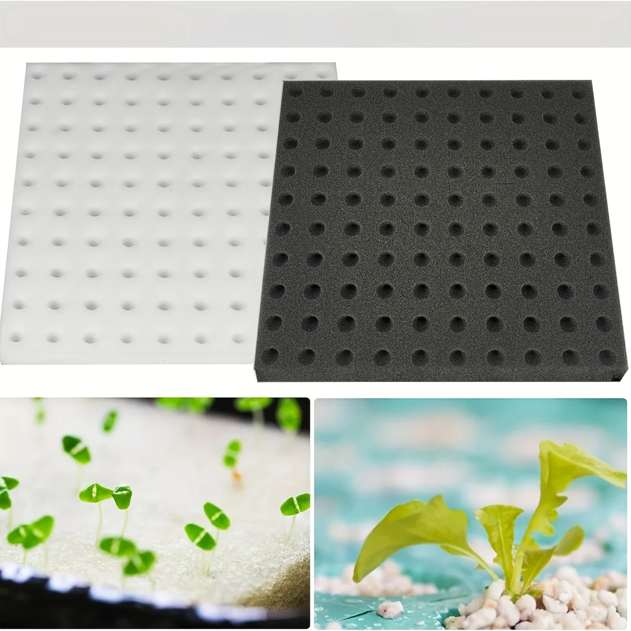 Greenhouse Sponge Vegetable Bu – обзор и цена Gardening Tools Vegetables