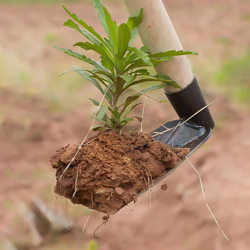 Digging Soil Small Hoe used in – обзор и цена Gardening Tools Used