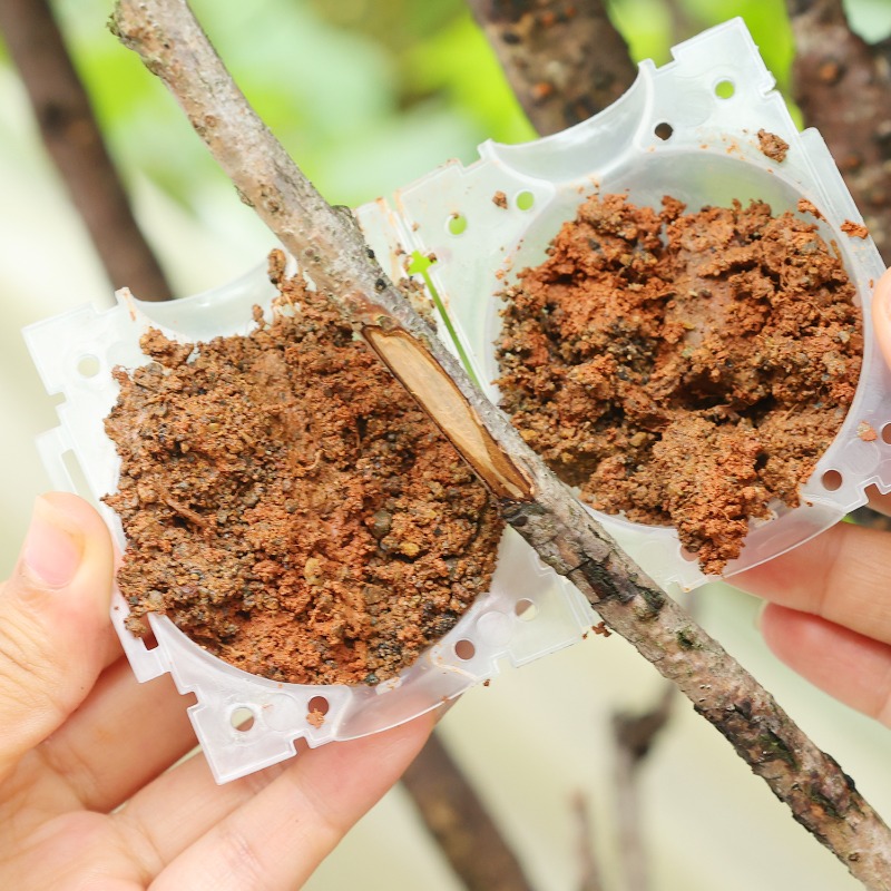 Reusable Plant Rooting Ball Gr – обзор и цена Gardening Tools Organiser