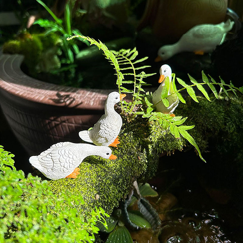 3pcs Cute White Duck Hydroponi – обзор и цена Gardening Tools Cute