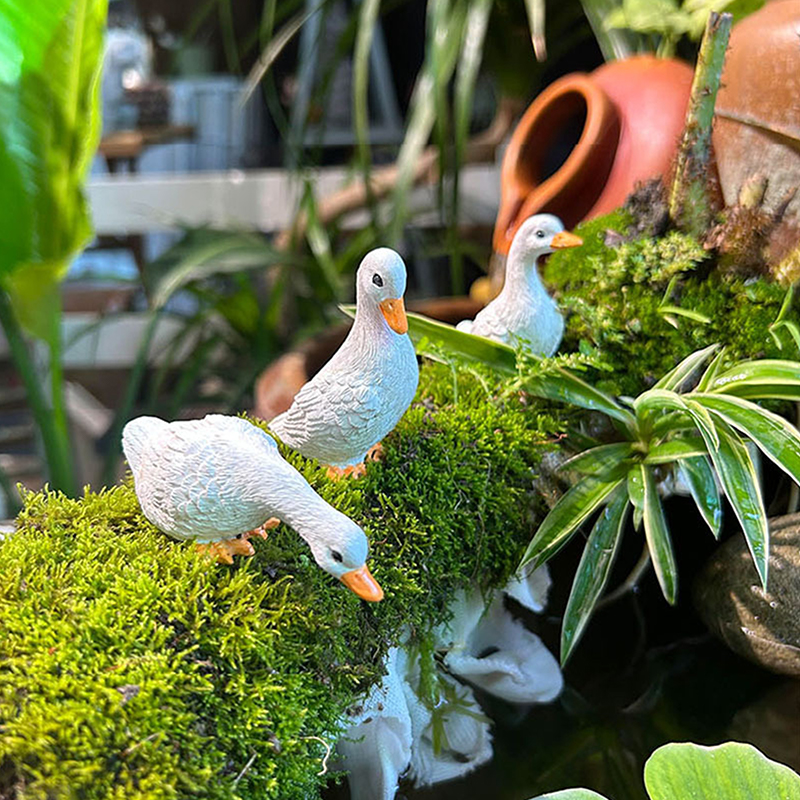 3pcs Cute White Duck Hydroponi – обзор и цена Gardening Tools Cute
