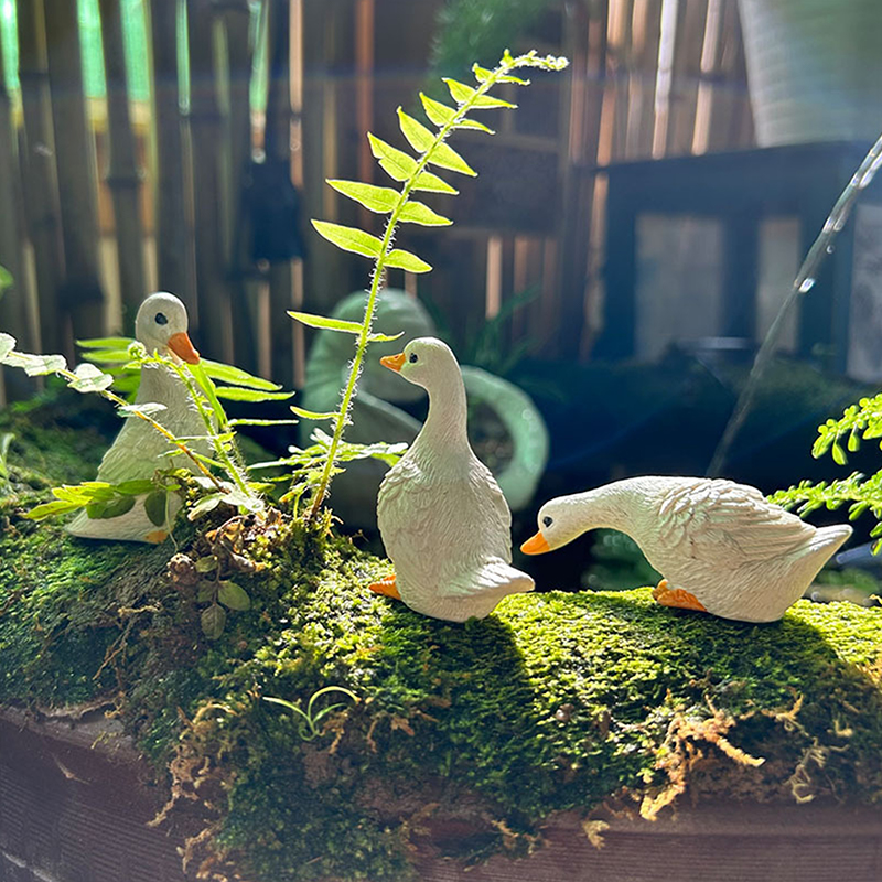3pcs Cute White Duck Hydroponi – обзор и цена Gardening Tools Cute