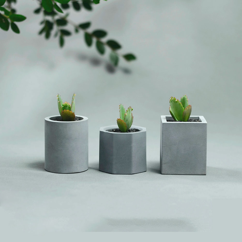 Cute Girl Plant Pot Silicone M – обзор и цена Gardening Tools Cute