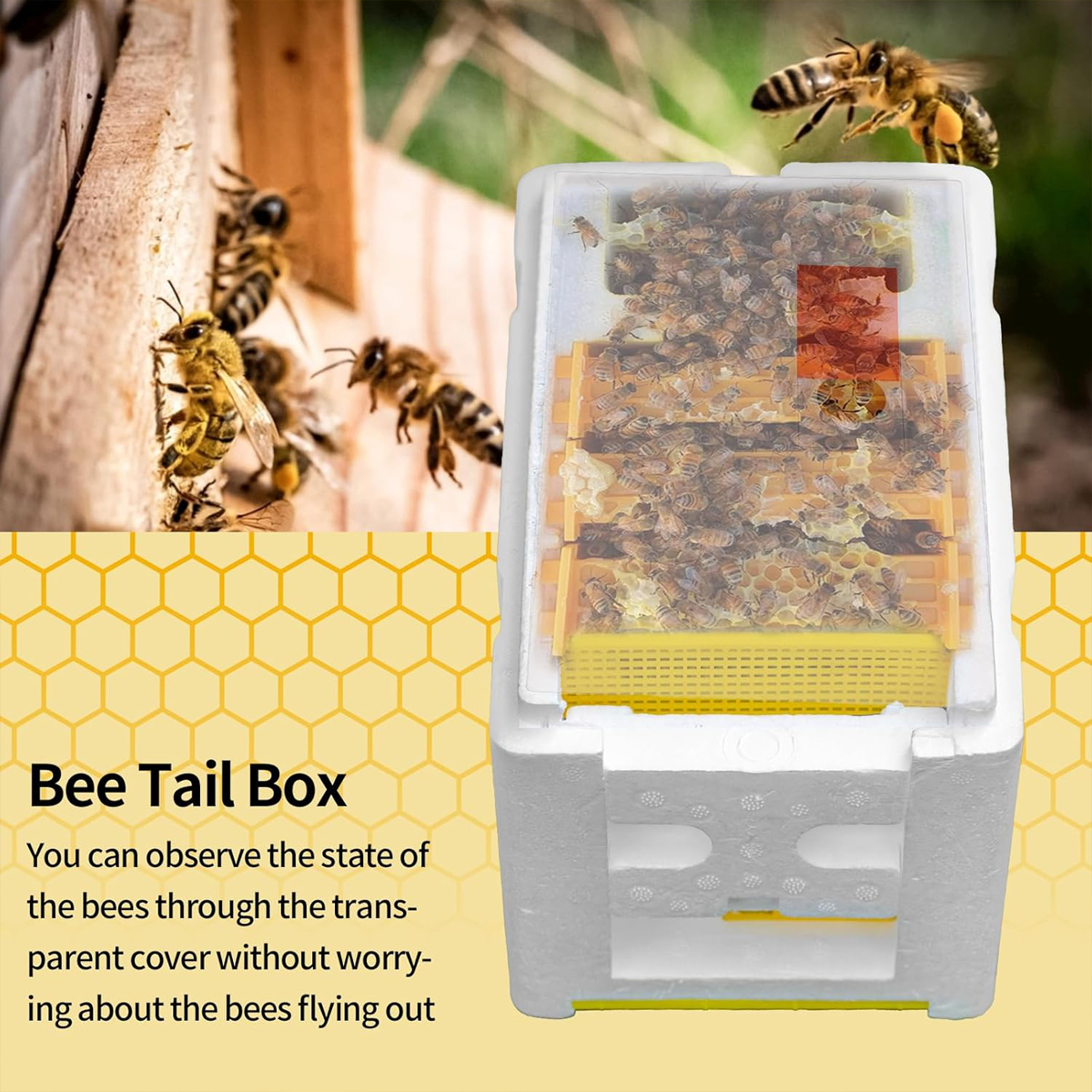 Queen Mating Box Breeding Beek – обзор и цена Gardening Tools Organiser