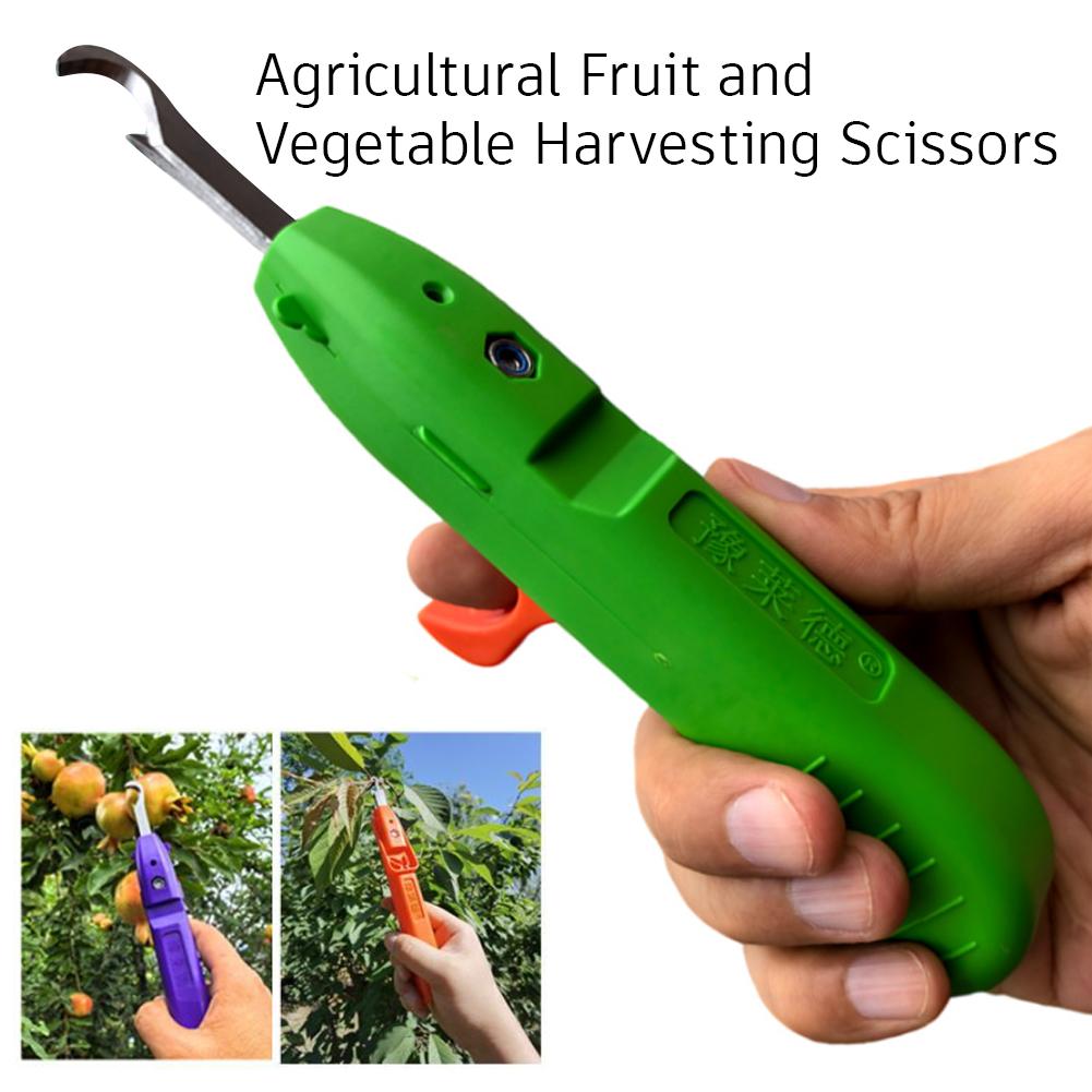 Portable Fruit Vegetable Quick – обзор и цена Gardening Tools Vegetables