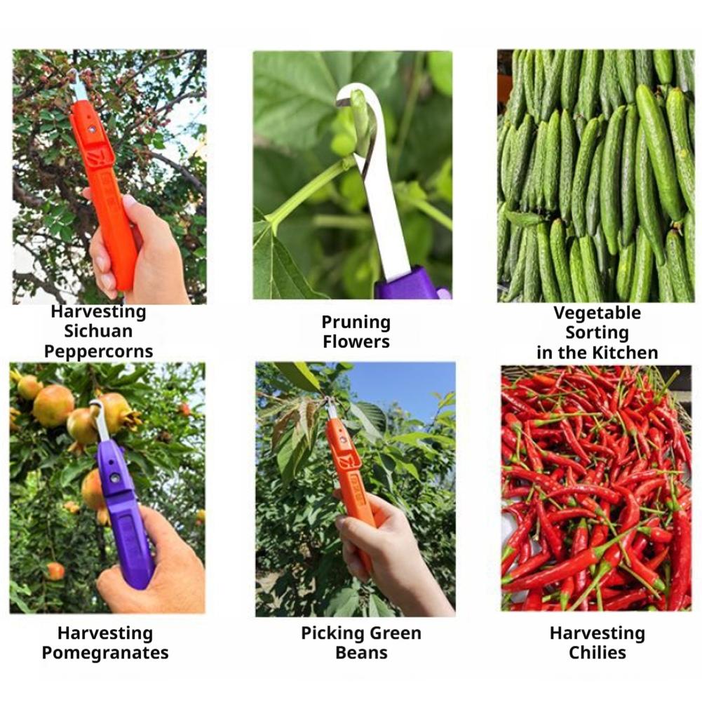 Portable Fruit Vegetable Quick – обзор и цена Gardening Tools Vegetables