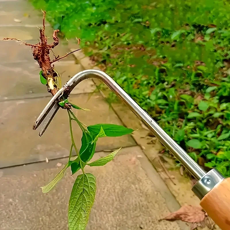 Stainless Steel Gap Weeding To – обзор и цена Gardening Tools Used For Weeding