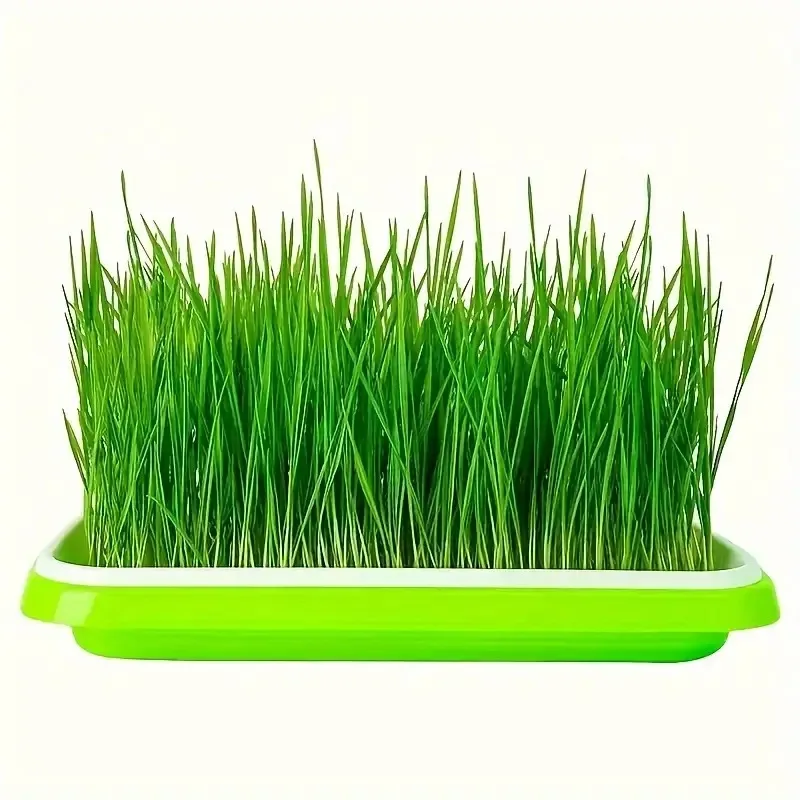 Latest Models Seedling Tray Su – обзор и цена Gardening Tools Vegetables