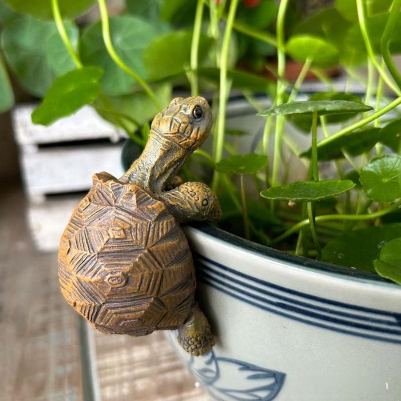 Tortoise Figure Plant Pot Hang – обзор и цена Gardening Tools Cute