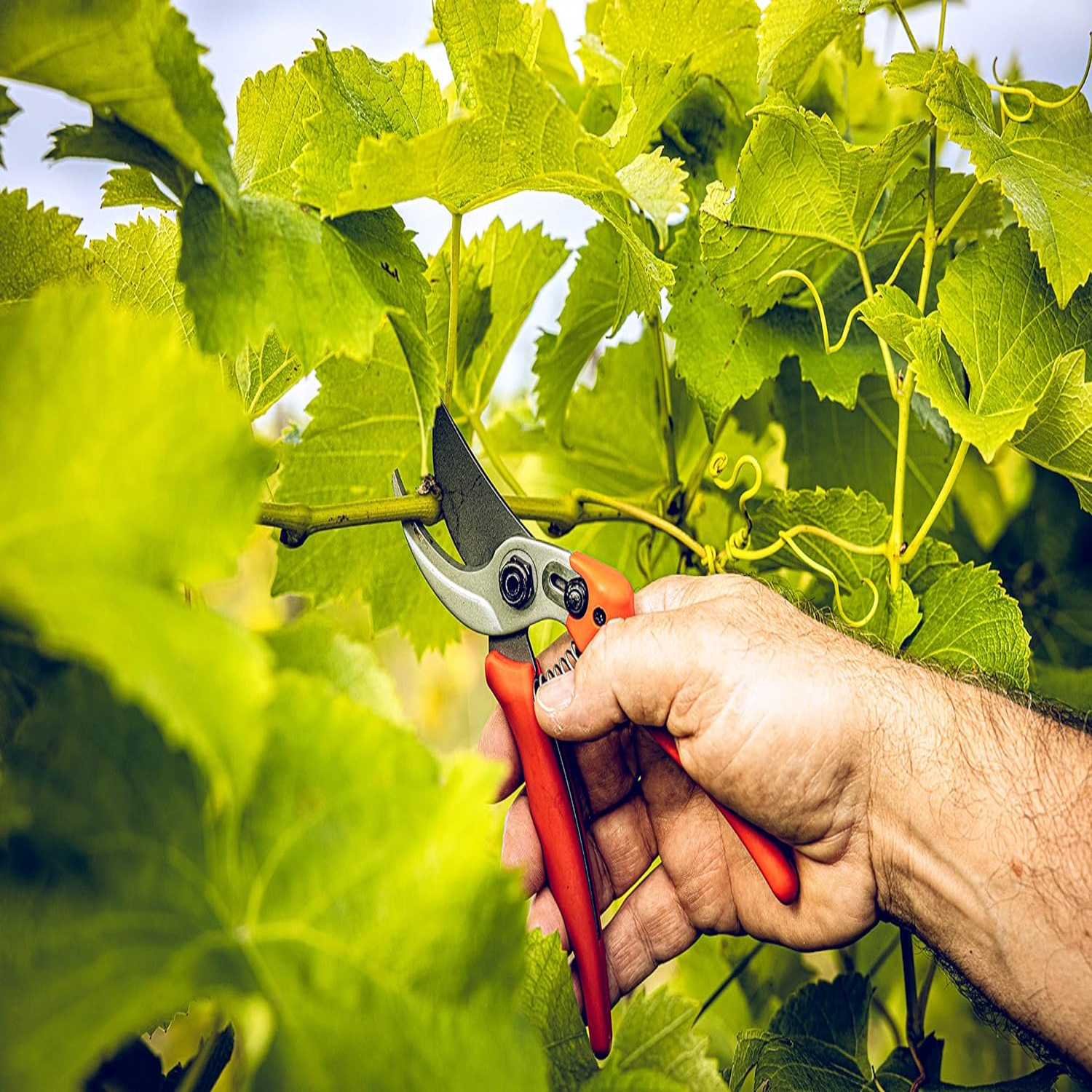 Versatile, Durable, and Precis – обзор и цена Gardening Tools Must Haves