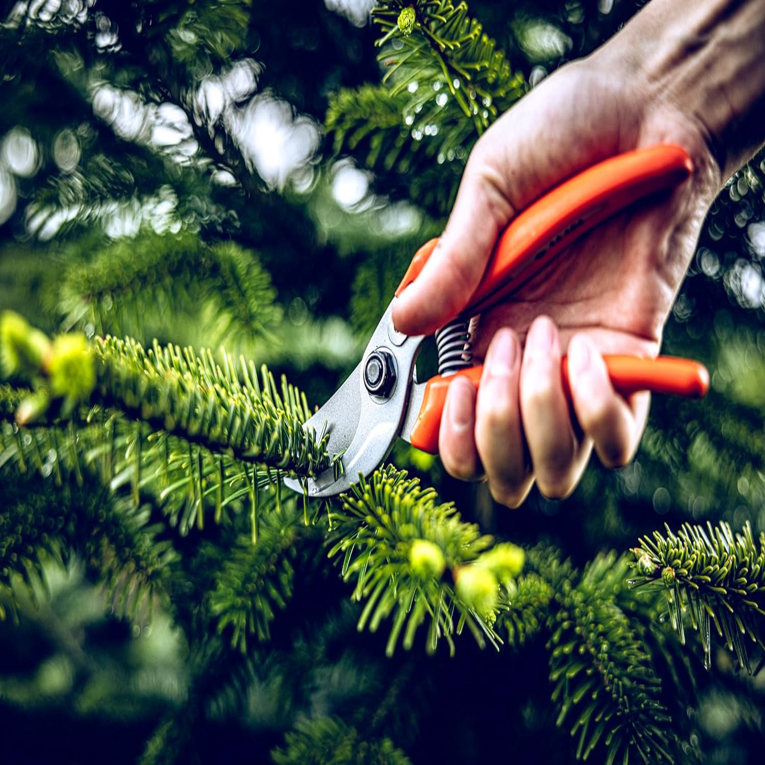 Versatile, Durable, and Precis – обзор и цена Gardening Tools Must Haves