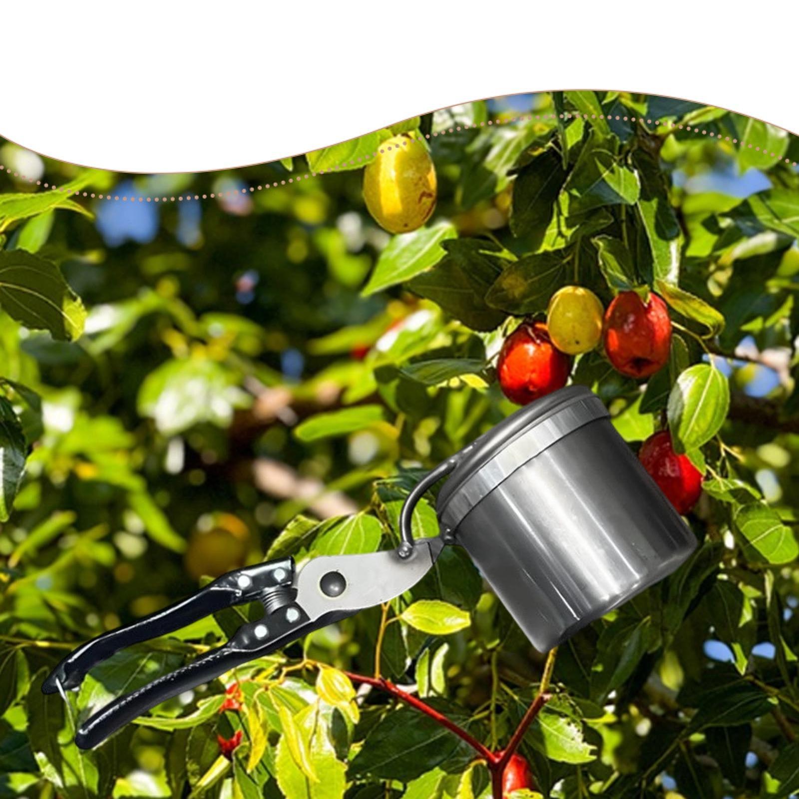 Fruit Picker, Easy to Use Port – обзор и цена Gardening Tools Vegetables