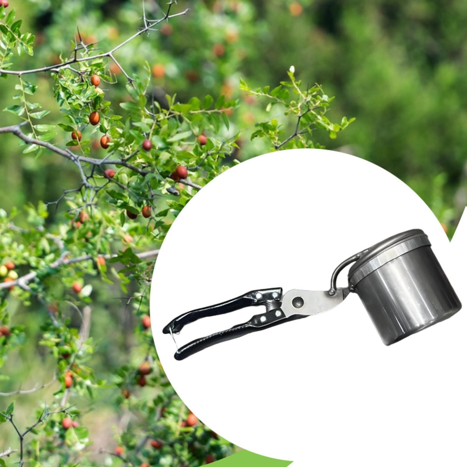 Fruit Picker, Easy to Use Port – обзор и цена Gardening Tools Vegetables