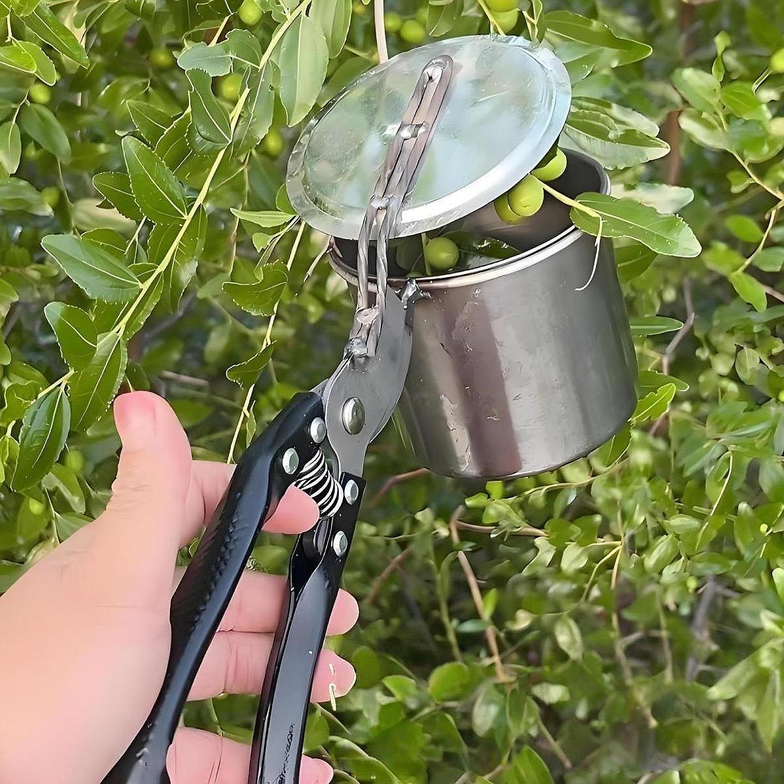 Fruit Picker, Easy to Use Port – обзор и цена Gardening Tools Vegetables
